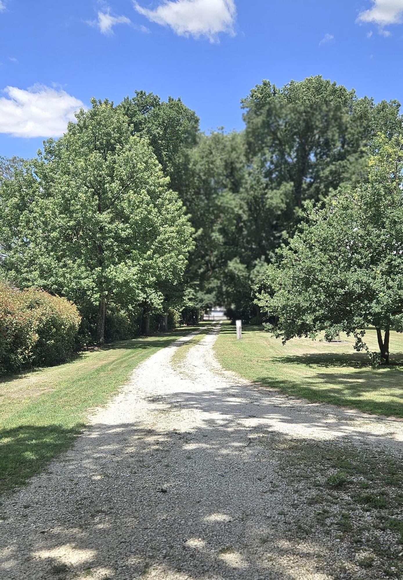 The Avenue Anahdale - Hidden 2.7 Acre Estate In Town *